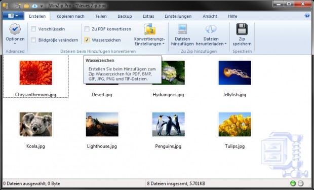 Bilder mit Wasserzeichen schützen (Bild: Corel)